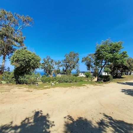 Calvi Mobil-Home Neuf Particulier Sur Camping Lumio  Ngoại thất bức ảnh